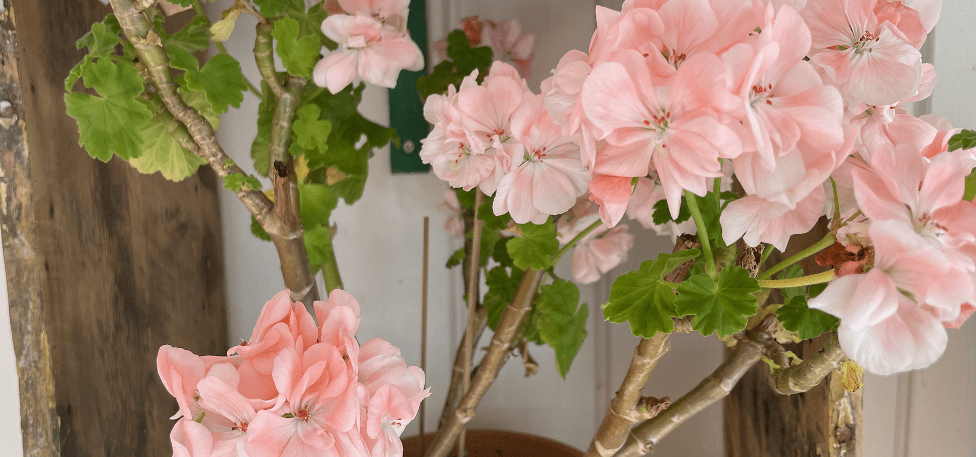 Rengøring, sommerhus