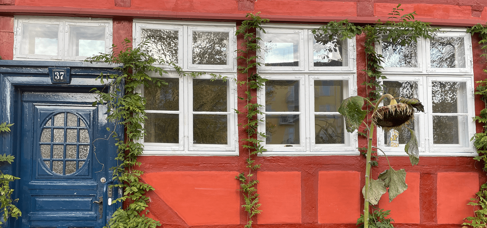 Rengøring, sommerhus