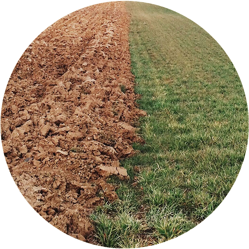 Tilbud havearbejde, havehjælp, grøn græsplæne