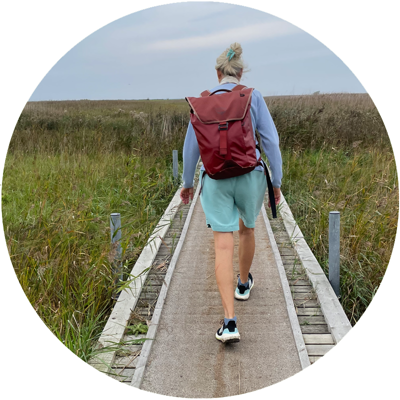 Tilbud hjemmehjælp ledsager